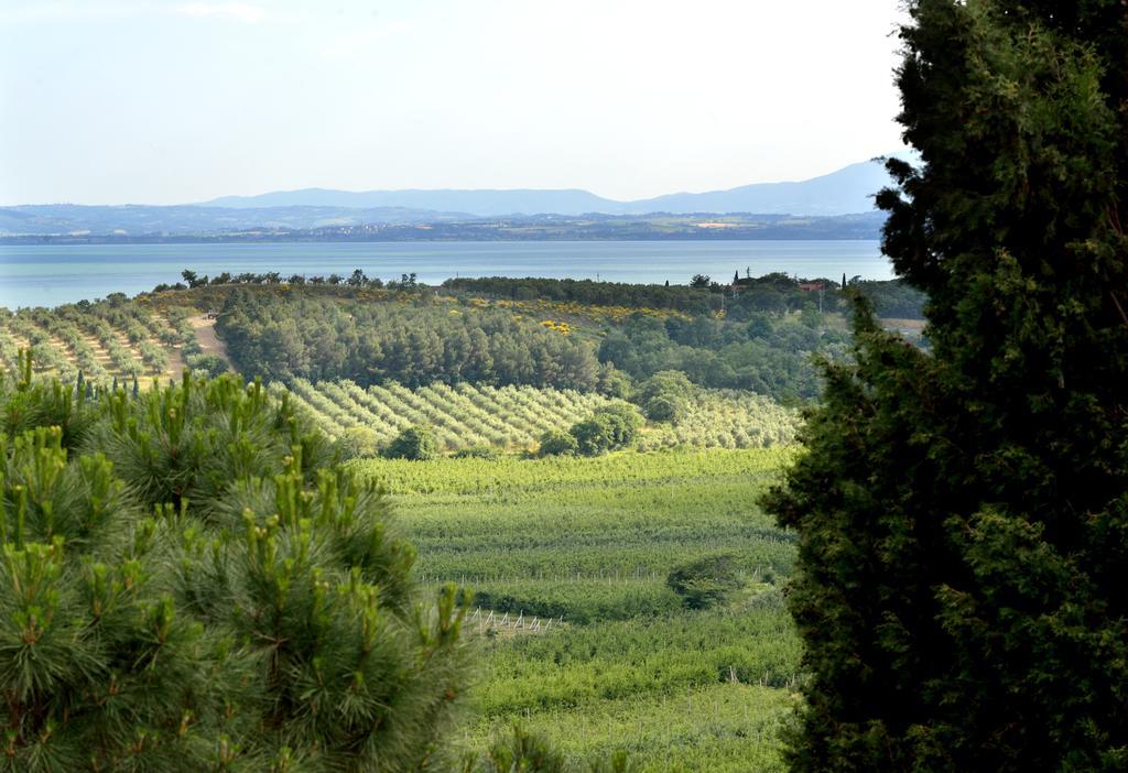 Agriturismo San Severo Passignano sul Trasimeno Exteriör bild